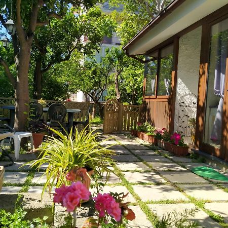 Villino L'Aranceto Sorrentino Bed & Breakfast Meta Luaran gambar