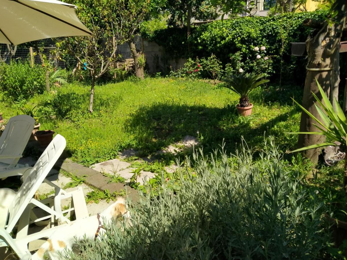 Villino L'Aranceto Sorrentino Bed & Breakfast Meta Luaran gambar