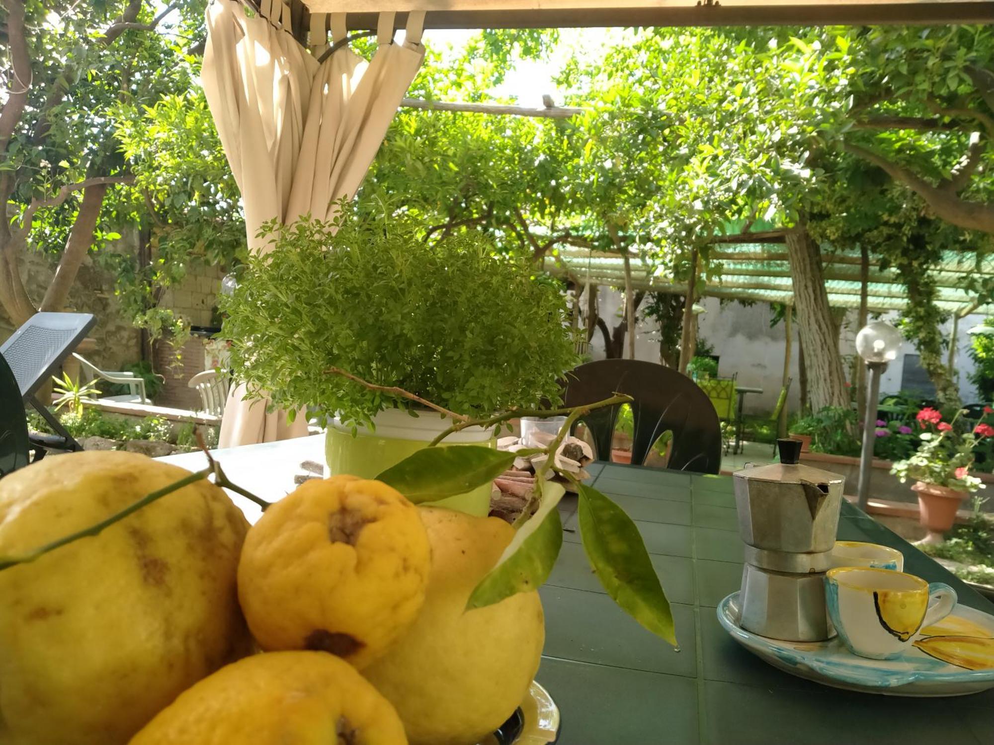 Villino L'Aranceto Sorrentino Bed & Breakfast Meta Luaran gambar