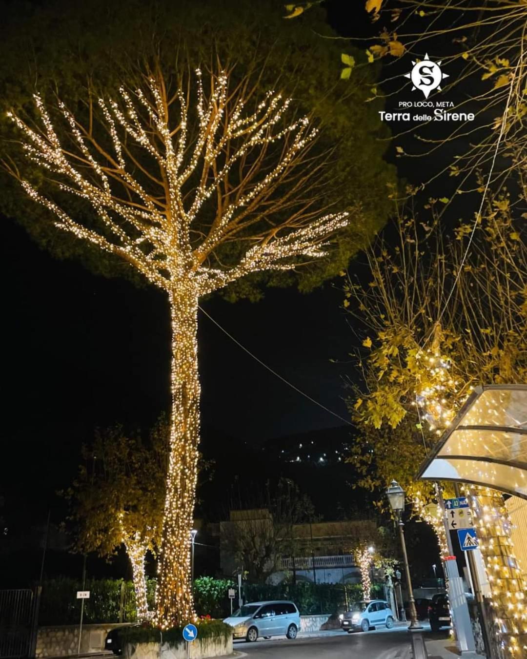 Villino L'Aranceto Sorrentino Bed & Breakfast Meta Luaran gambar