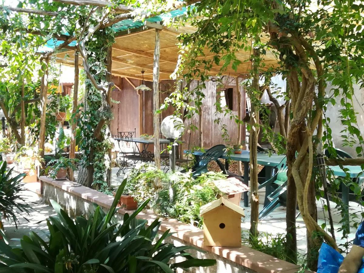 Villino L'Aranceto Sorrentino Bed & Breakfast Meta Luaran gambar