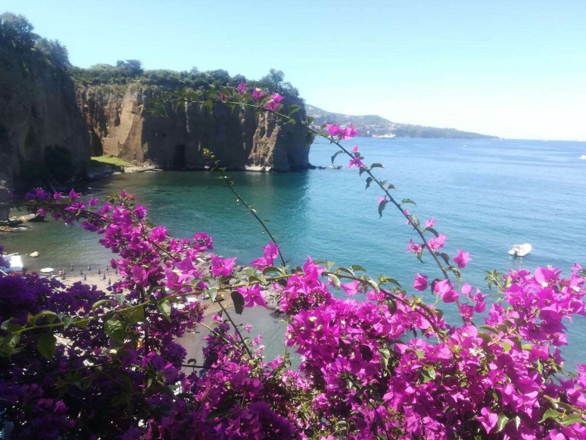 Villino L'Aranceto Sorrentino Bed & Breakfast Meta Luaran gambar